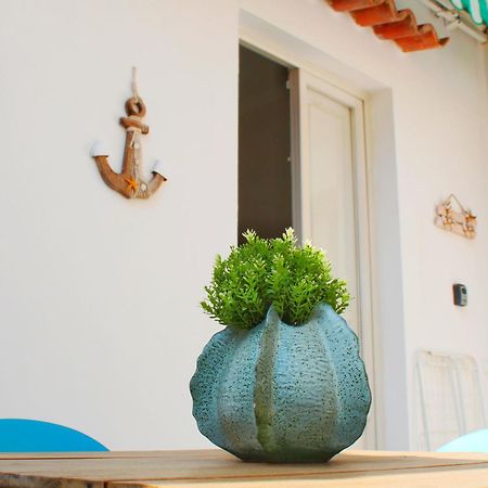 Appartement Casa Alita à Viareggio Extérieur photo